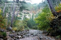 DSC01023