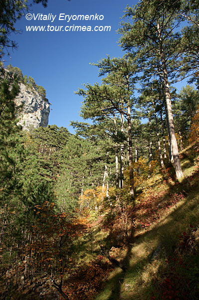 DSC01063