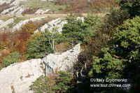 DSC00509