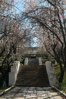 DSC00026
