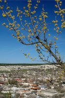 DSC00088