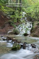 DSC09975