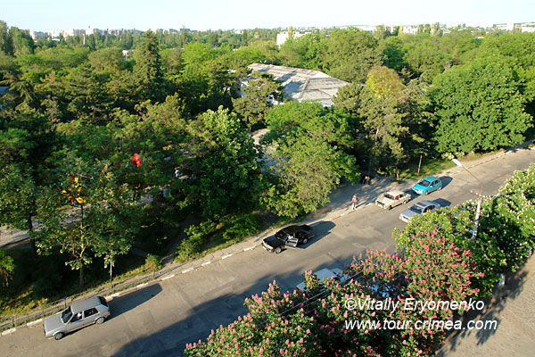 DSC01000