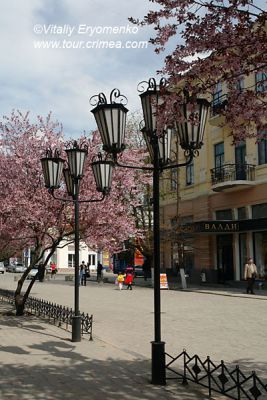 DSC01116
