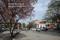 DSC01118