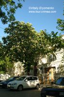 DSC01450