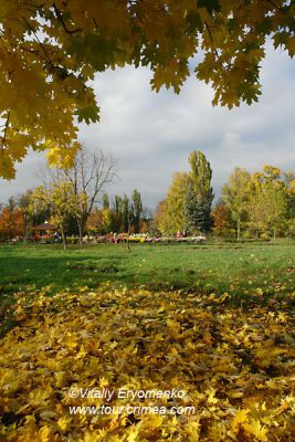 DSC102107