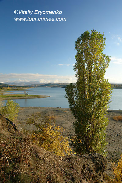 DSC02158