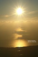 DSC03319