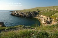 DSC06966