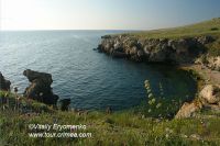 DSC06967