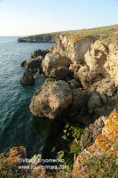 DSC06997