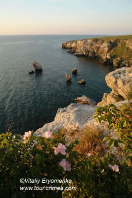 DSC07106