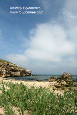 DSC07218