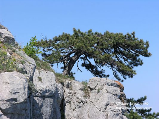 P1016826