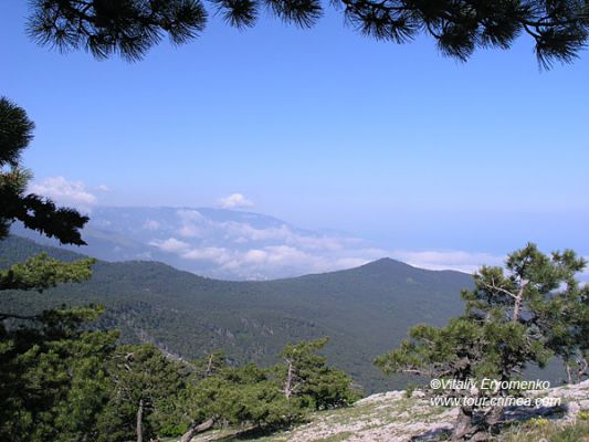 P1016878