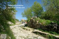 DSC01705