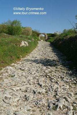 DSC01725