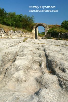 DSC07410