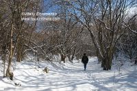 DSC09003