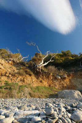 DSC09537