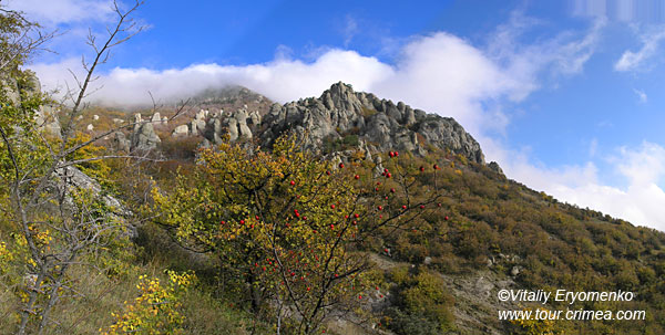 Demerdshi15