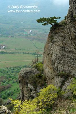 DSC09640