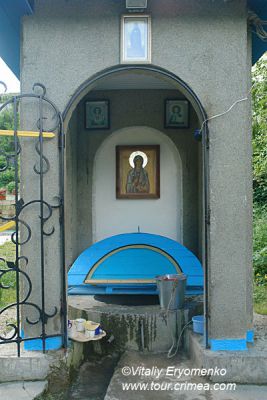 DSC03061