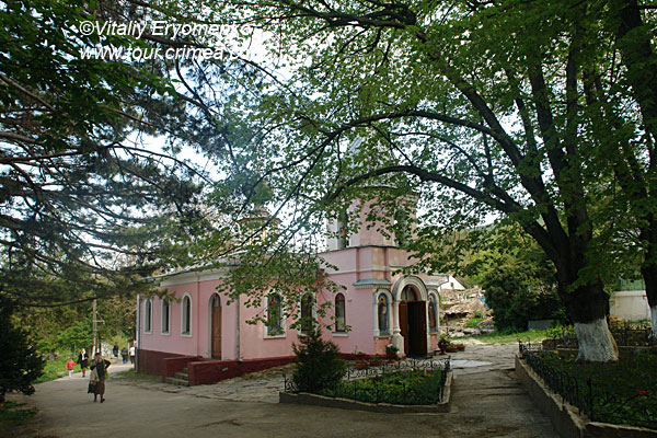 DSC03230