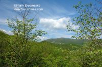 DSC03013