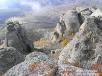 P1015243