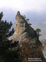 P1015303