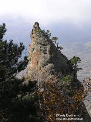 P1015303