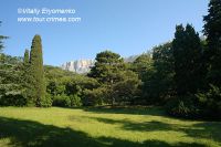DSC07539