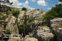 DSC09560
