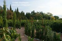 DSC00552