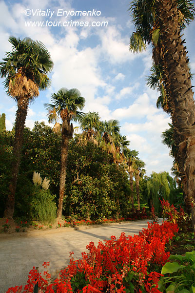 DSC00579