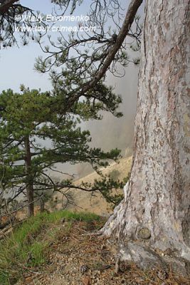 DSC06191