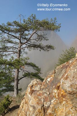 DSC06193