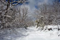 DSC09119