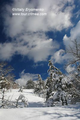 DSC09133