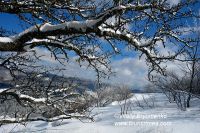 DSC09171
