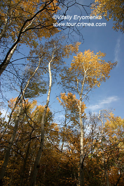 DSC04518