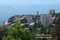 DSC05973