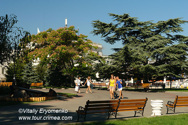 DSC02970