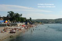 DSC00631