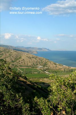 DSC00327