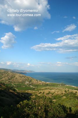 DSC00329