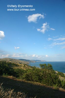 DSC00331
