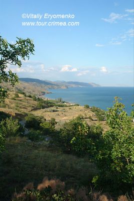 DSC00333